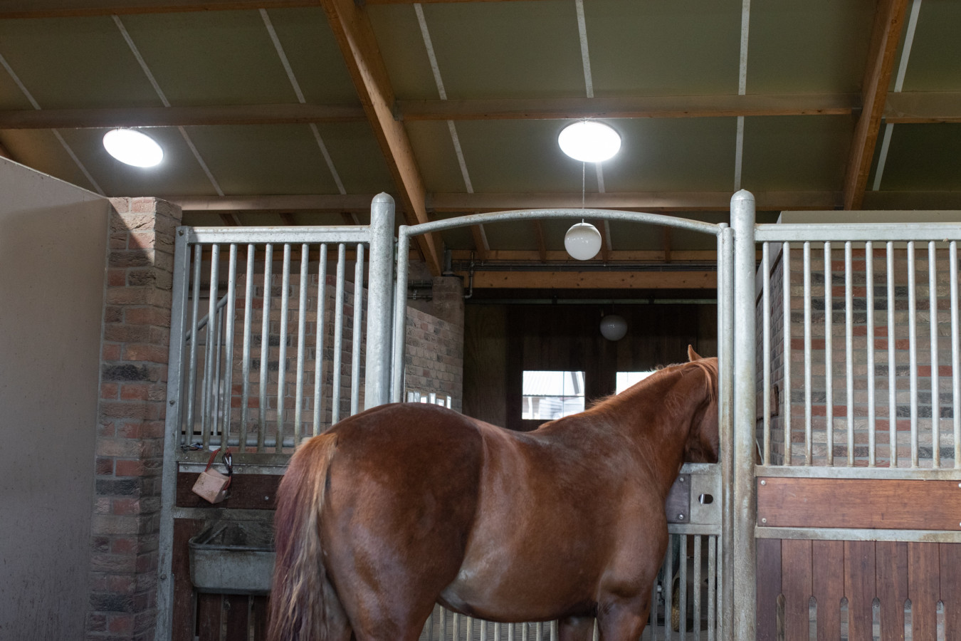 Illuminating Equine Spaces: Banfu's  tubular daylighting system Solution for Sustainable Stables